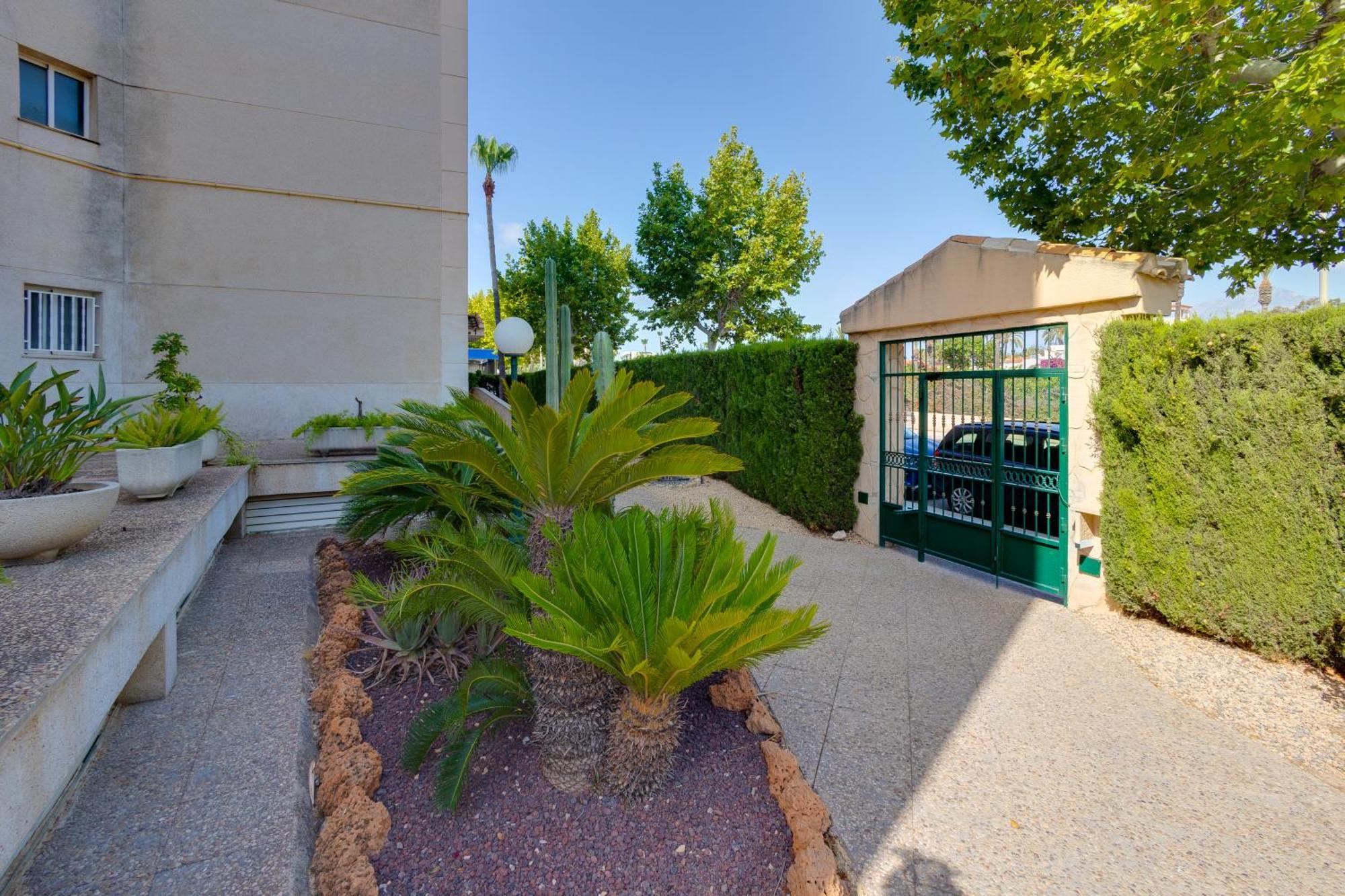 Apartamentos Oasis アルビール エクステリア 写真