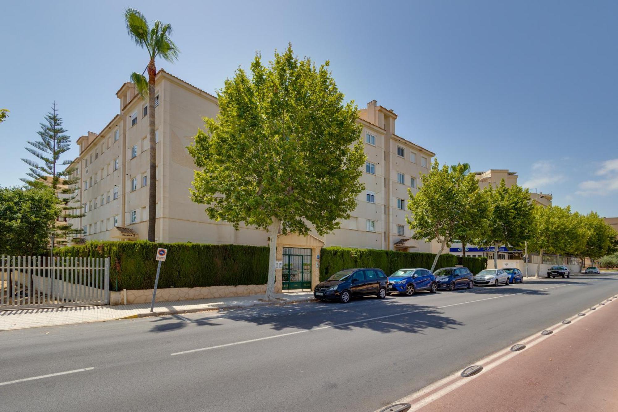 Apartamentos Oasis アルビール エクステリア 写真