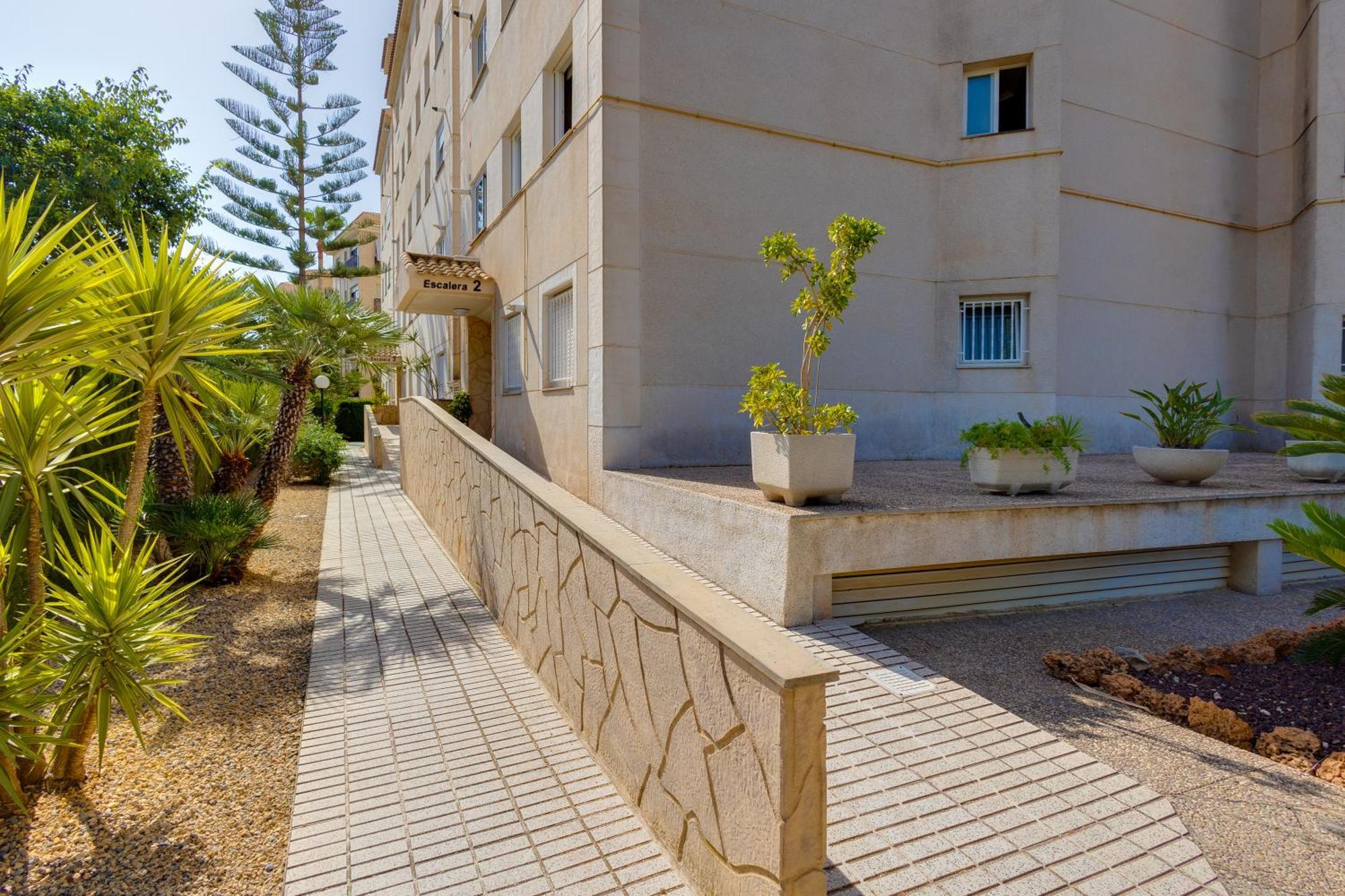 Apartamentos Oasis アルビール エクステリア 写真
